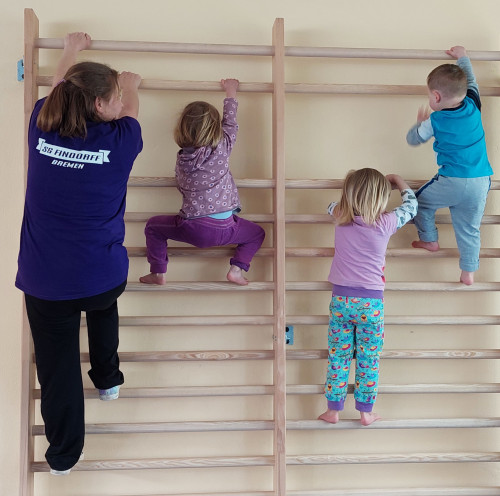 TrainerIn oder ÜbungsleiterIn für das Gerätturnen