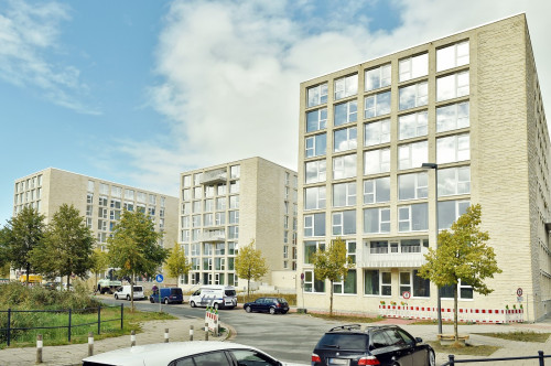 Ehrenamt in verschiedenen Bereichen