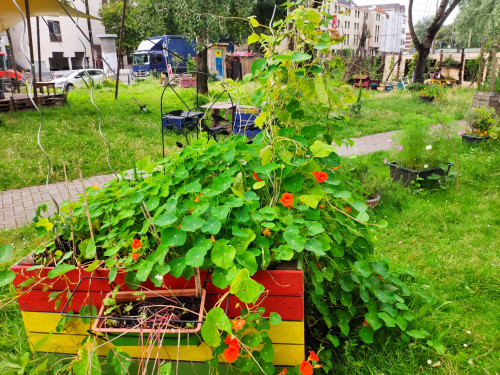 Rotk&auml;ppchens Garten braucht dich