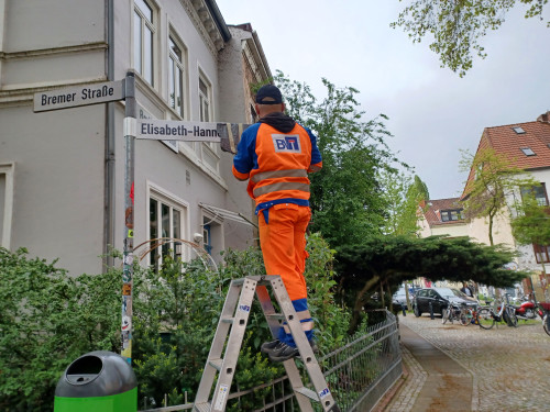 Hilfe: Betreuung der Website