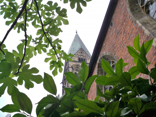 Gartenarbeit