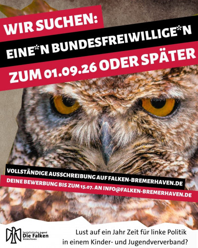 Bundesfreiwilligendienst im linken Jugendverband