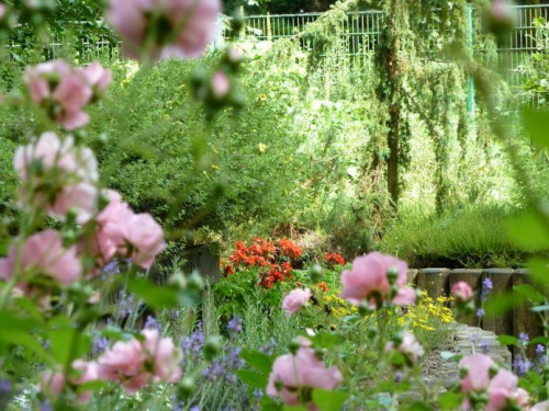 Mithelfen im Blindengarten