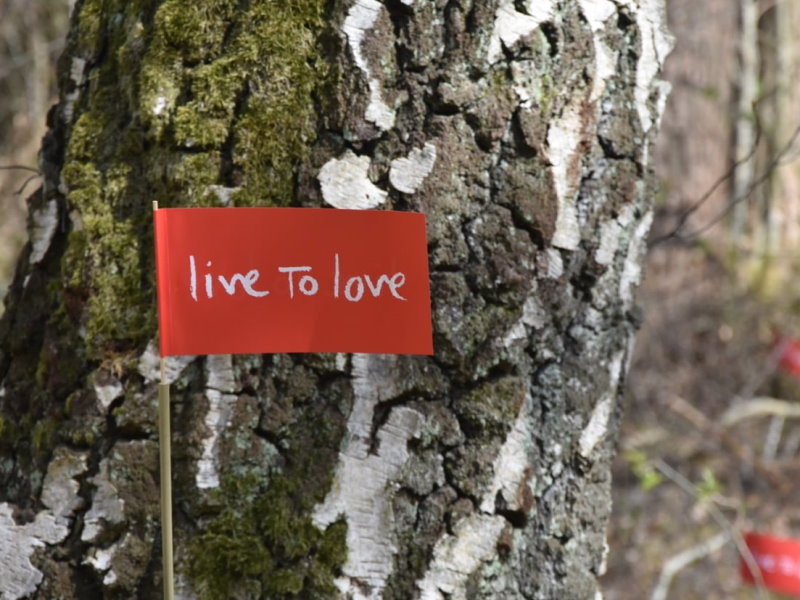 Große Baumpflanzaktion am Sonntag, 15. März 2026 im Klövensteen in Rissen